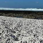Marvillafuerte *