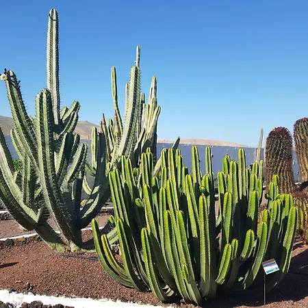 Appartamento Marvillafuerte Villaverde (Fuerteventura)
