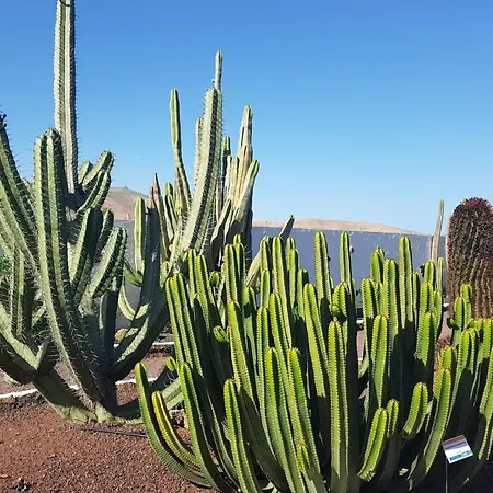 Marvillafuerte - Air-conditioned Swimming Pool & Private Jacuzzi Villaverde (Fuerteventura)